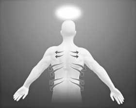 Stryg langs med de nervebaner, der forgrener sig fra rygsøjlen, rundt om kroppen til forsiden.
